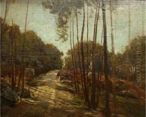 Paysage En Sous Bois