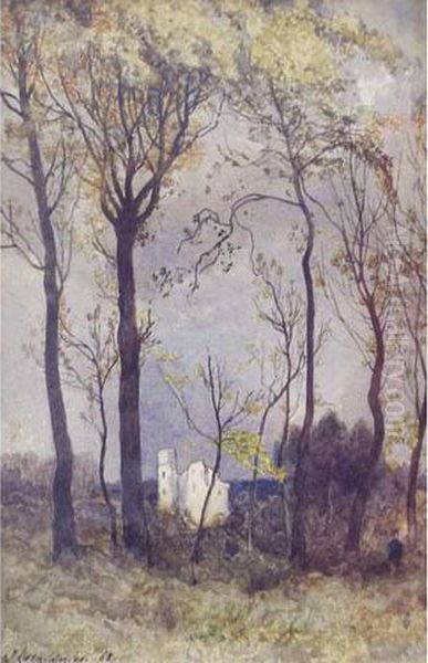 Ruines En Foret - view 1
