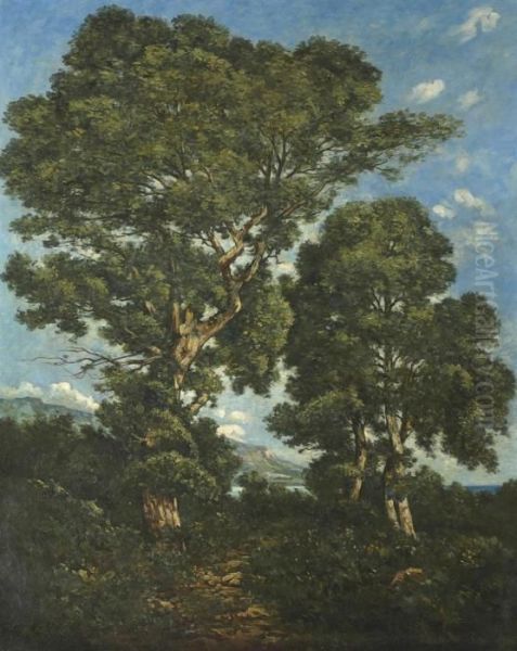 In The Forest - view 1