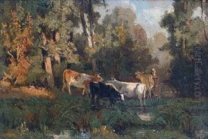 Study Of Cattle Study Of Cattle