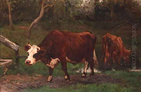 Cows near a ditch - view 1