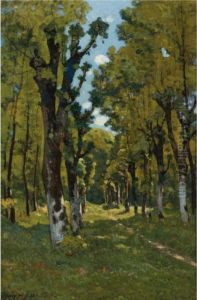 Alle Des Tilleuls A Saint Prive, Yonne (sunlit Woodland Path)