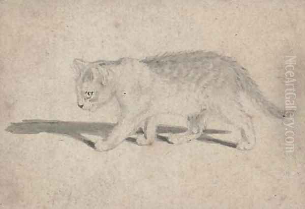 Study of a cat - view 1