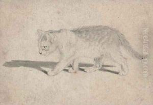 Study of a cat by Gottfried Mind or Mindt