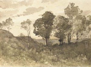 Un Paysage Boise