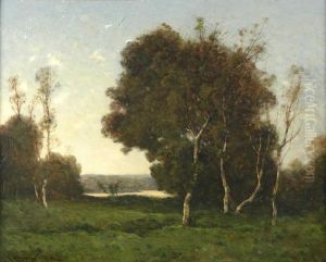 Meadow At Sunset