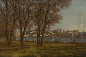 Chateau Des Papes A Avignon
