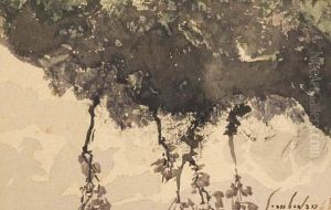 Un Massif Avec Des Arbustes