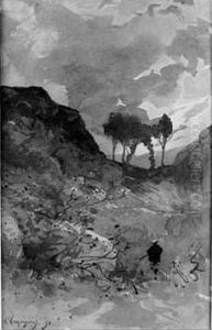 Homme Se Promenant Sur Une Colline