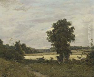 Les Bords De L'allier Les Bords De L'allier