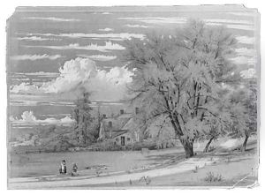 Willow Tree, Harlem Creek, New York by William Rickarby Miller