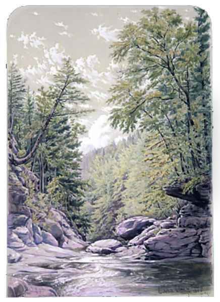 Catskill Clove in Palingsville - view 1