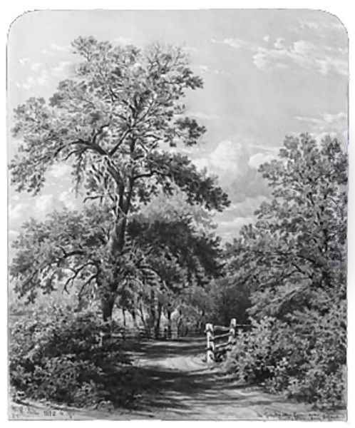 The Grandmother Tree, near Middletown, Long Island - view 1