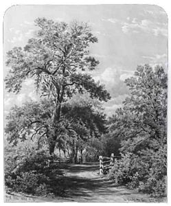 The Grandmother Tree, near Middletown, Long Island by William Rickarby Miller