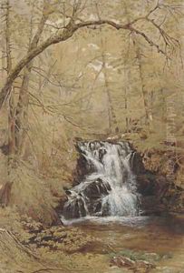 Indian Falls, Indian Brook, Cold Springs, New York by William Rickarby Miller