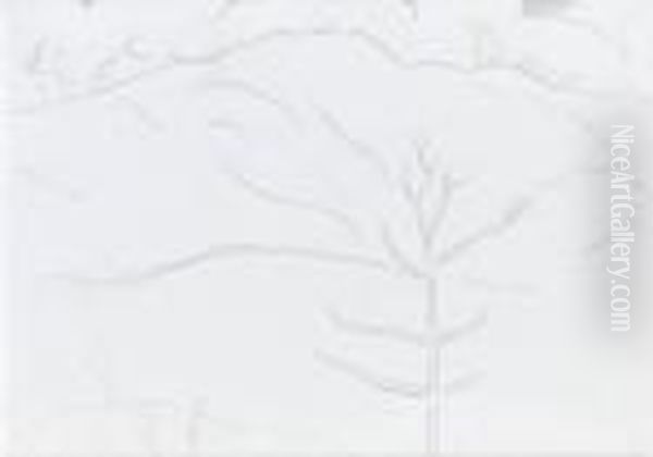 Hills And A Single Tree - view 1