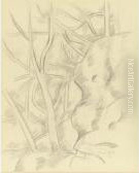 Trees - view 1