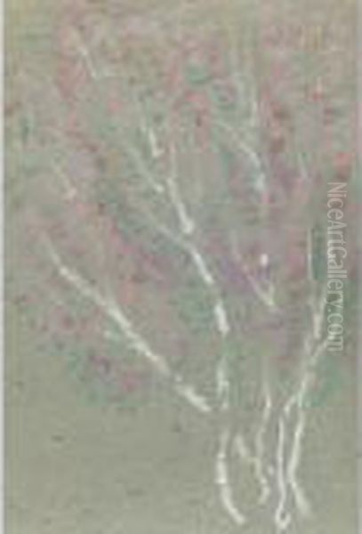 Birch Trees - view 1