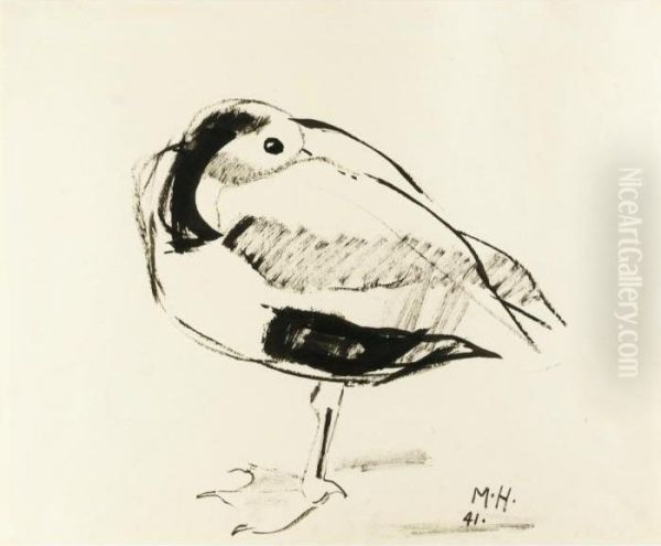 Bird - view 1