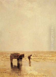 Collecting Shellfish