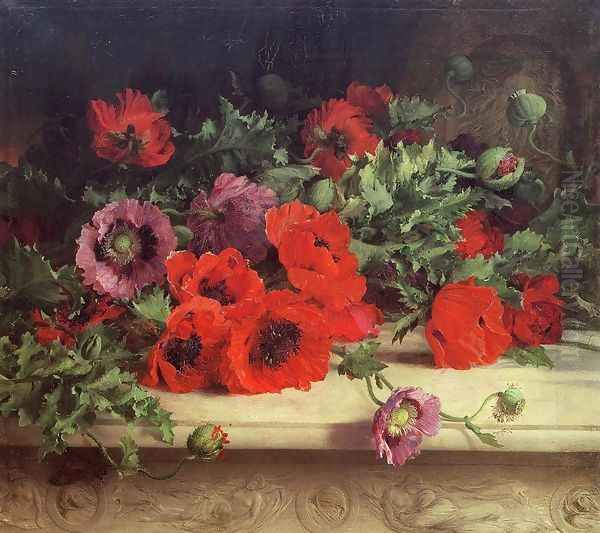 Poppies - view 1