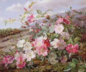 Eglantine 1883 by William Muckley