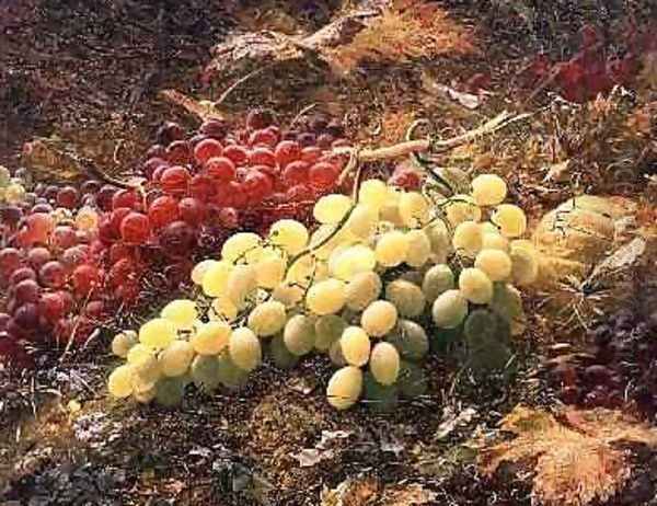 Grapes - view 1