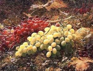 Grapes by William Muckley