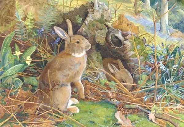 Rabbits in a wood - view 1