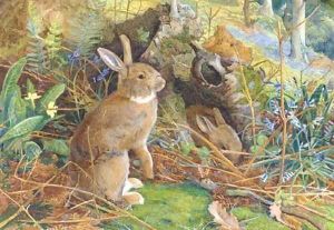 Rabbits in a wood by William Henry Millais