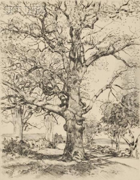 Wayside Inn - Oaks In Spring - view 1