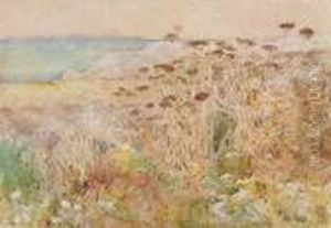 Isles Of Shoals by Childe Hassam