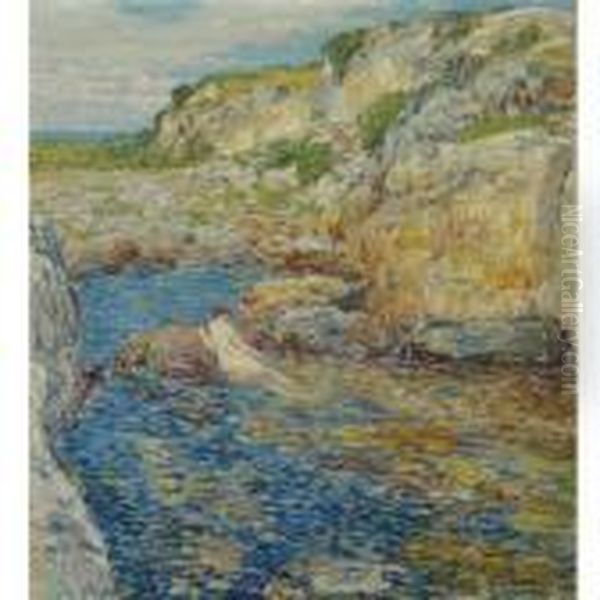 Rockweed Pool - view 1