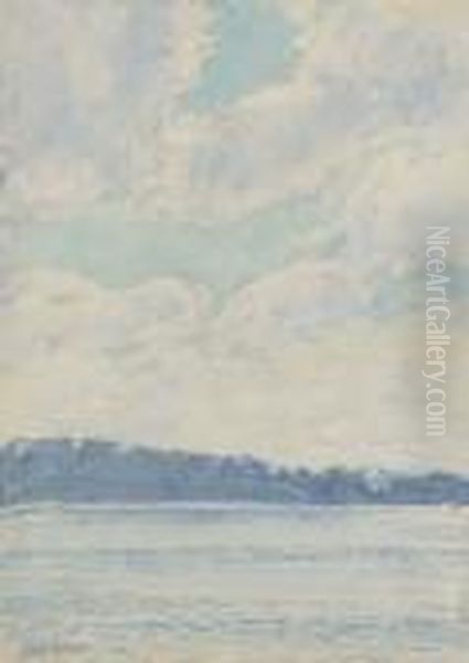 Along The Shoreline - view 1
