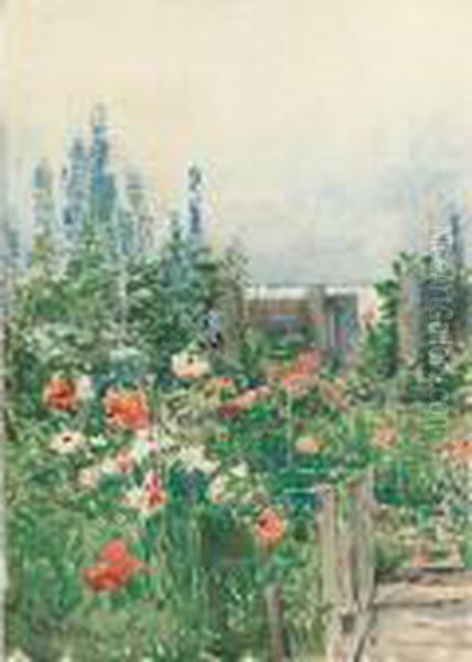 Home Of The Hummingbird - view 1