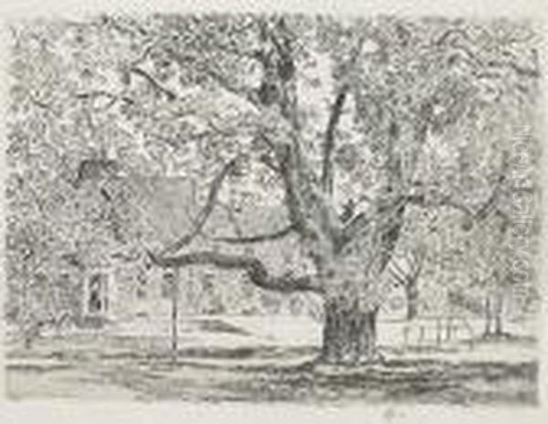 Untitled - view 1
