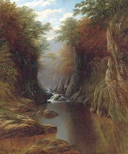 Fairy Glen, North Wales - view 1