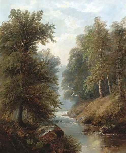 In Bolton Woods - view 1
