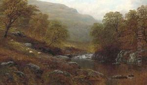 On the river Llugwy by William Mellor