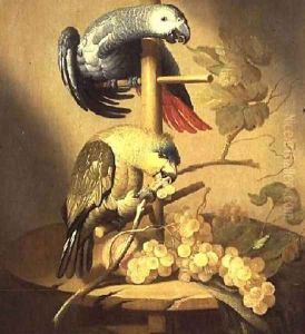 An African Grey and an Orange Winged Amazon Parrot on a Perch with Grapes by Jacob Fransz van der Merck