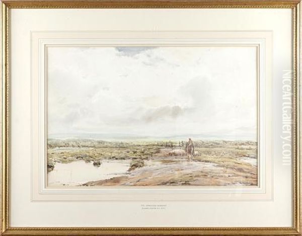 Wareham Marshes - view 1