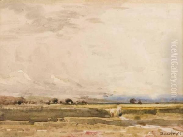 Landscape - view 1