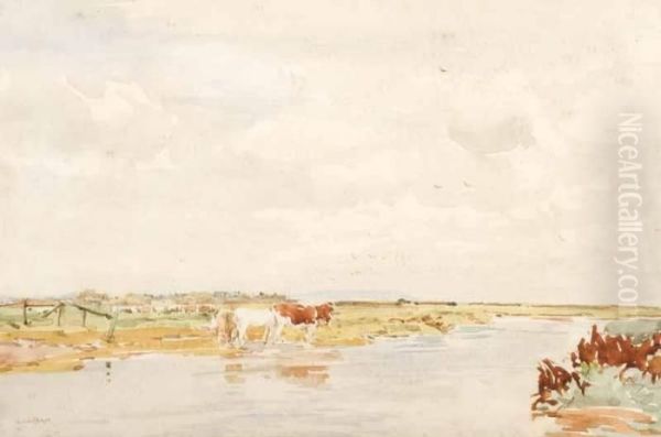 Sandpit Marsh - view 1