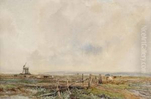 Essex Marsh