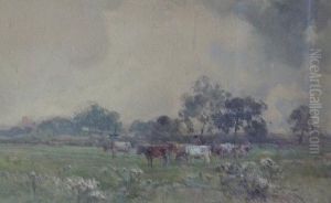 Cattle In A Meadow