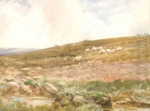 Sheep On The Hillside