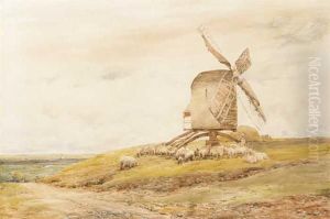 Windmill And Sheep