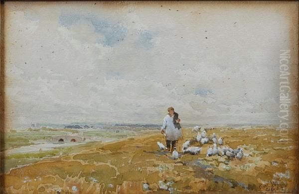 Sheep In A Landscape - view 1