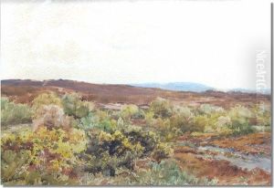 Moorland Landscapes