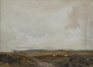 Landscape &amp; Cattle